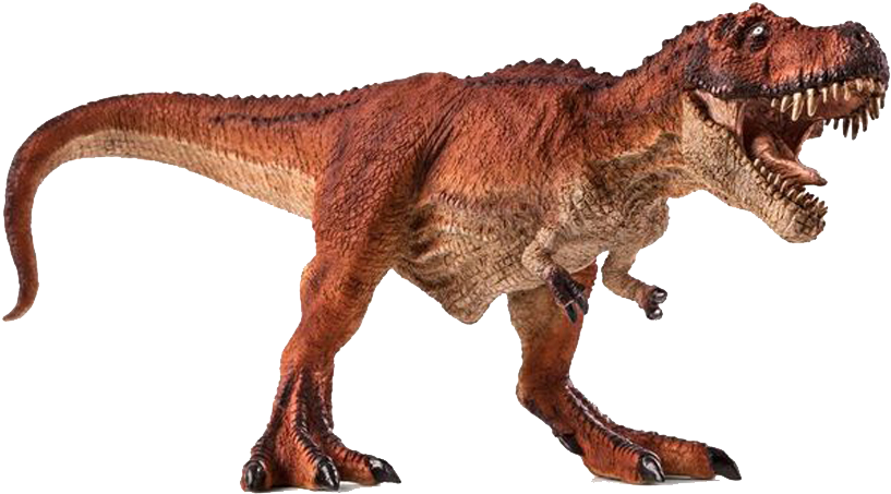 Tyrannosaurus Rex Full Body Profile PNG Image