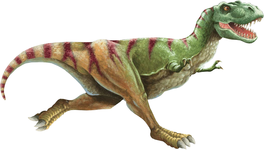 Tyrannosaurus Rex Illustration PNG Image