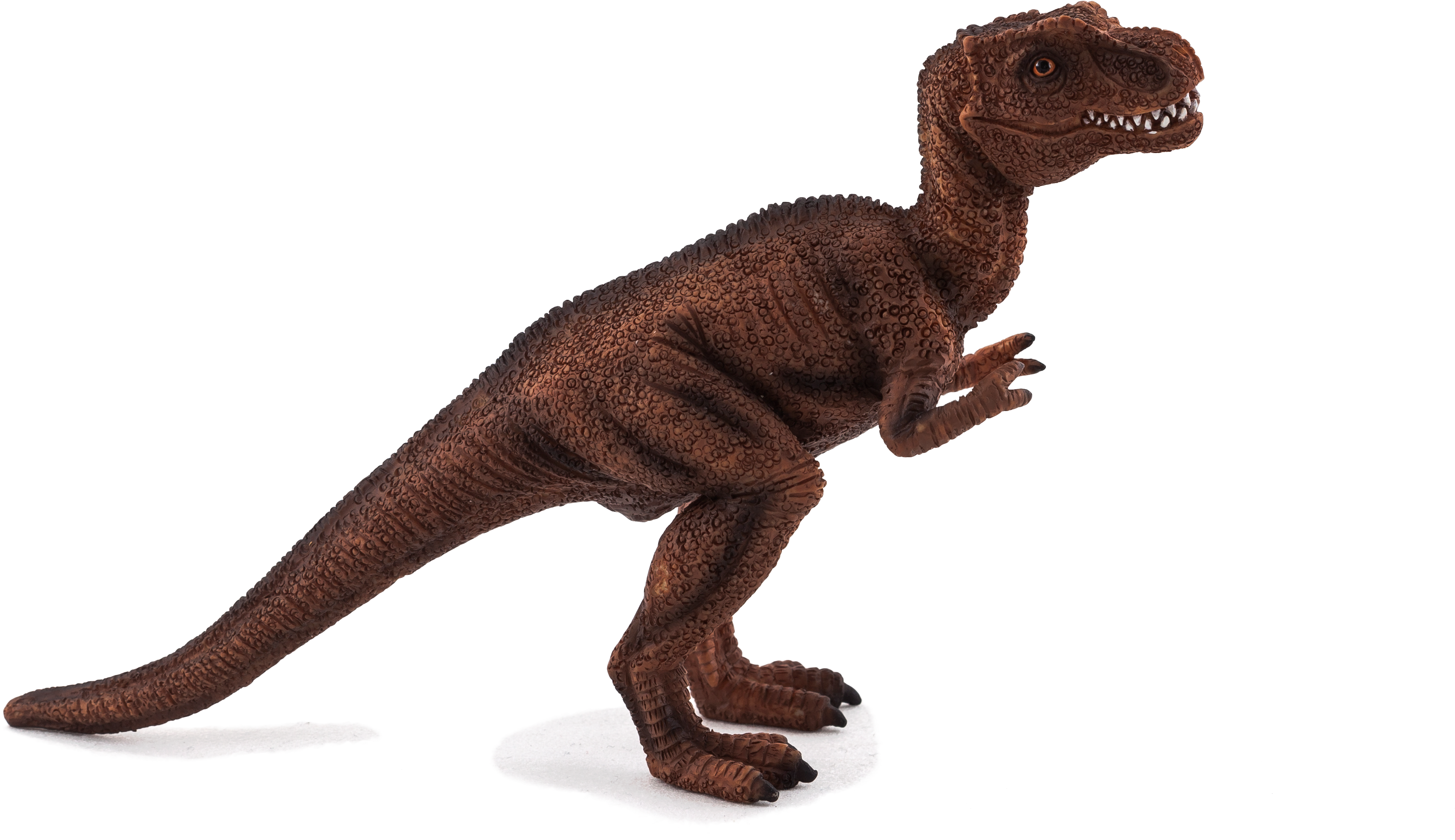 Tyrannosaurus Rex Model Pose PNG Image