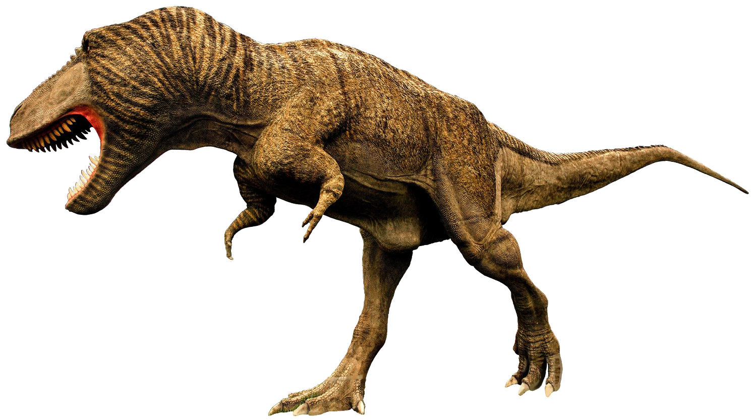 Tyrannosaurus Rex Predatory Stance PNG Image