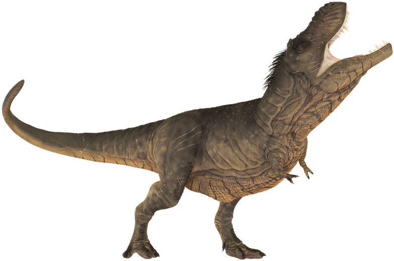 Tyrannosaurus Rex Roaring Pose PNG Image