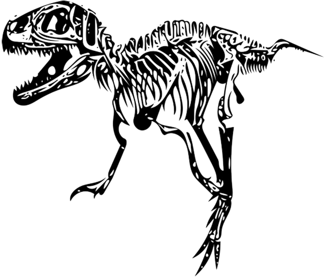 Tyrannosaurus Rex Skeleton Illustration PNG Image