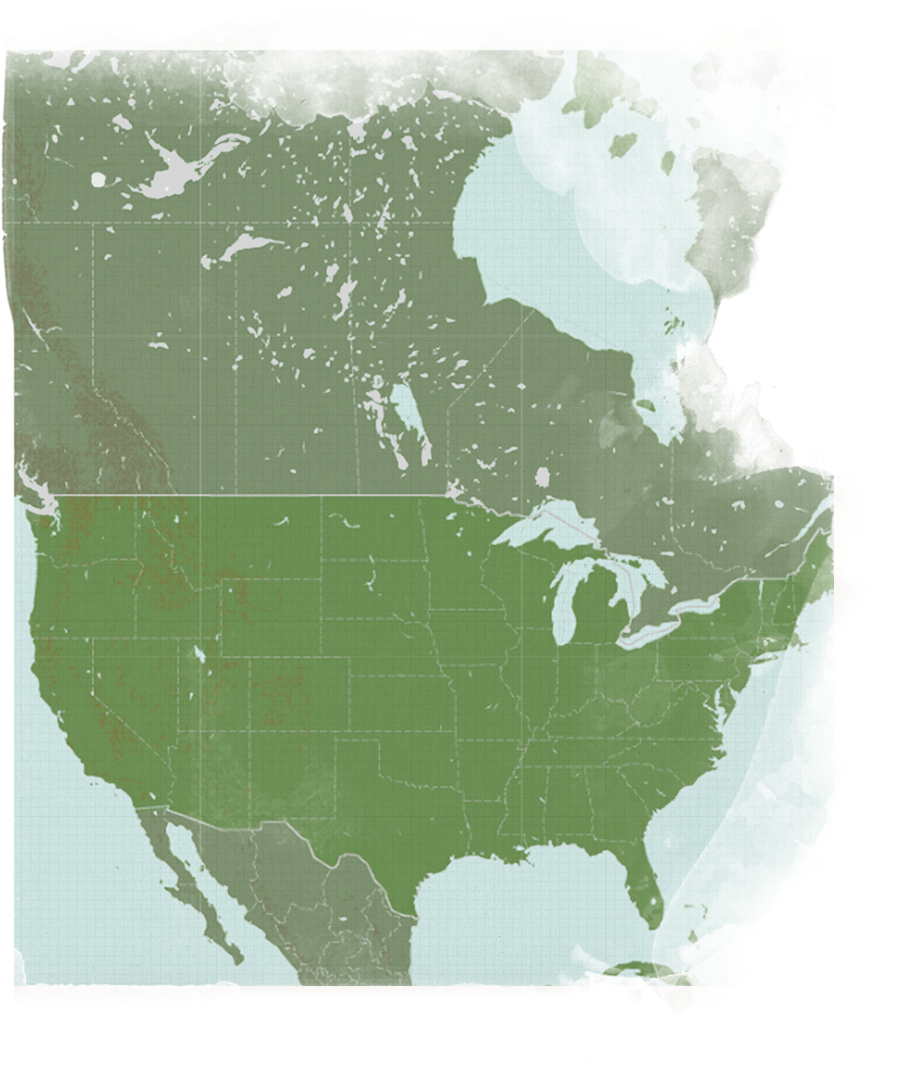 U S A Map Transparent Background PNG Image