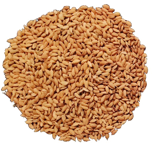 Uncooked Brown Rice Texture PNG Image