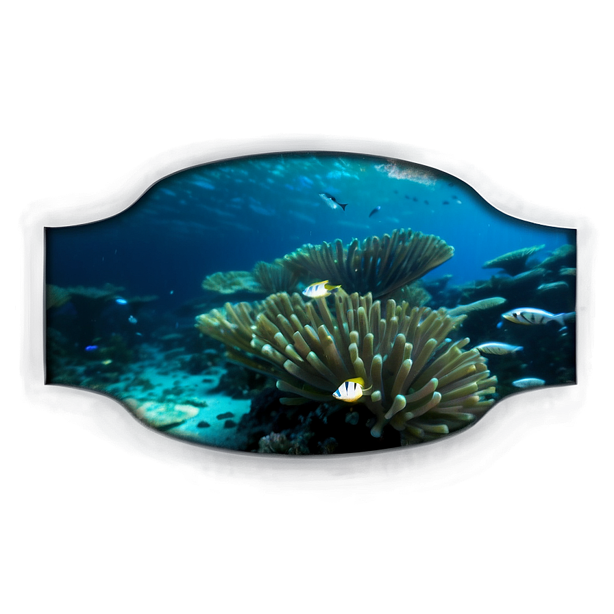 Underwater Adventure Png 06232024 PNG Image