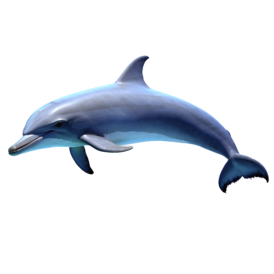 Underwater Dolphins Png 23 PNG Image