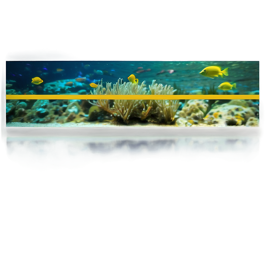 Underwater Ocean View Png 49 PNG Image