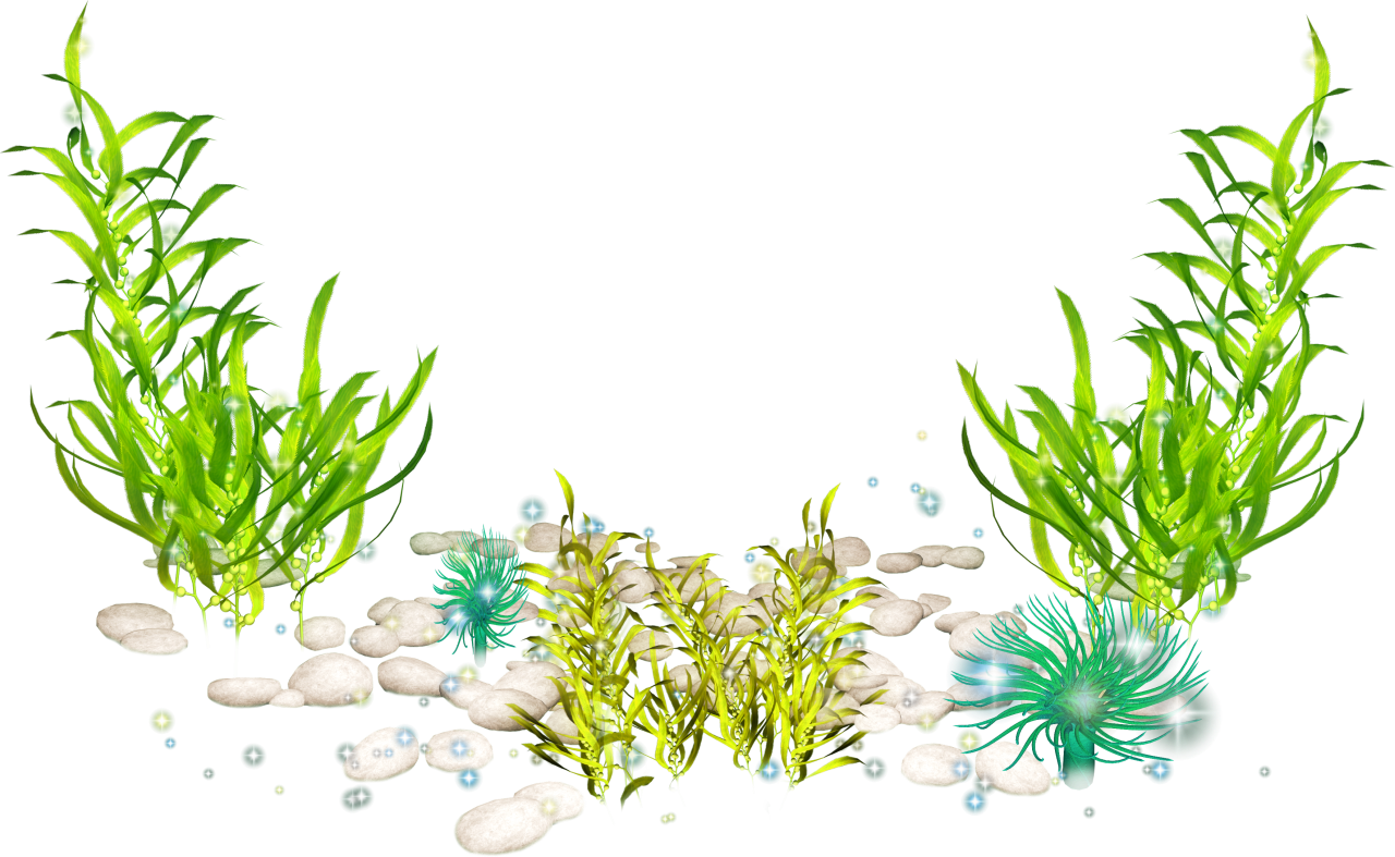 Underwater Seaweed Scene PNG Image