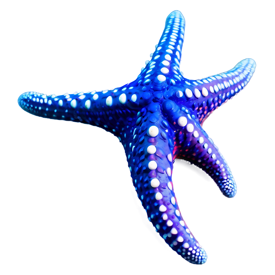 Underwater Starfish Png Qru PNG Image