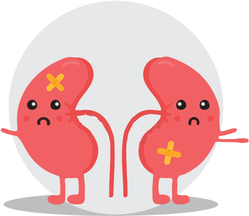 Unhappy Cartoon Kidneys PNG Image