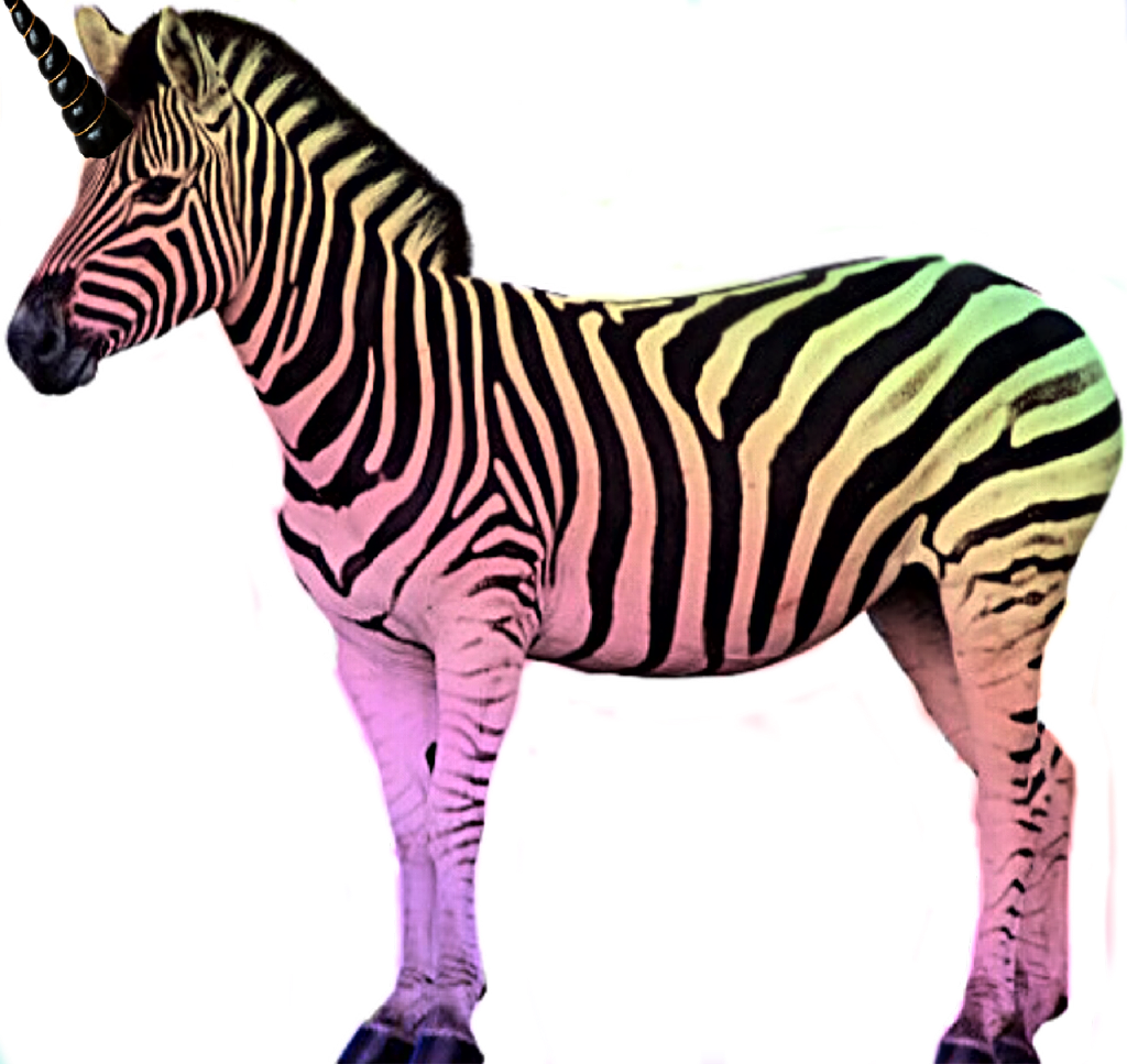 Unicorn Zebra_ Hybrid_ Illustration PNG Image