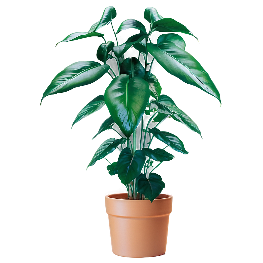 Urban Floor Plant Png Dab5 PNG Image