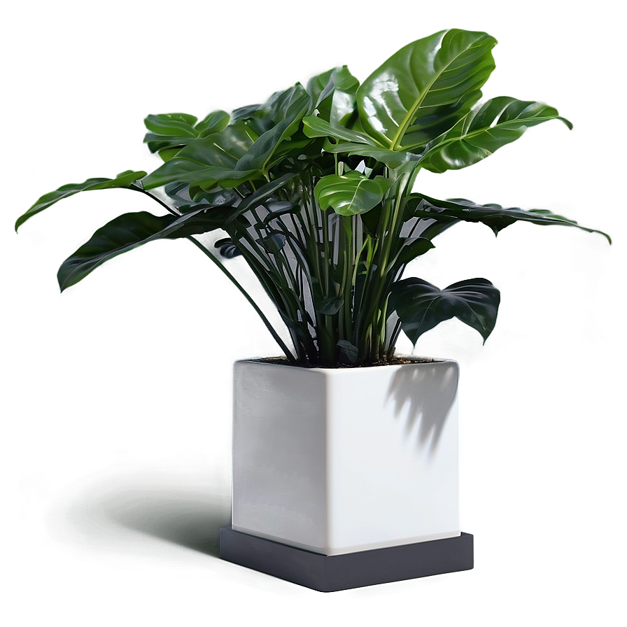 Urban Floor Plant Png Rmd47 PNG Image