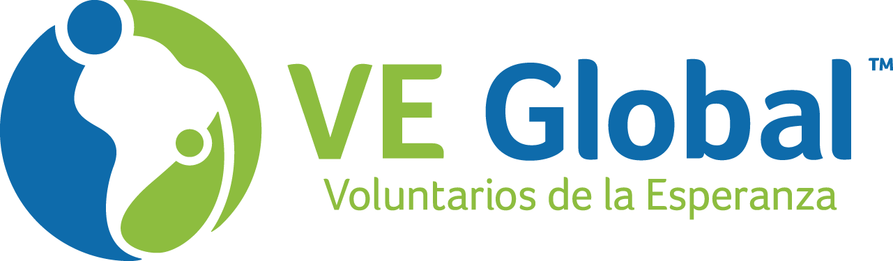 V E Global Logo PNG Image