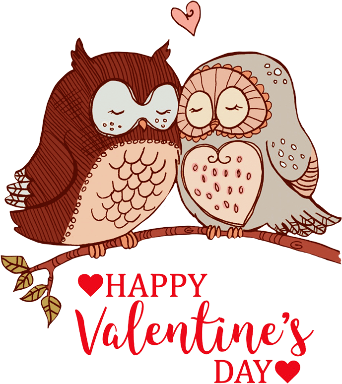 Valentines Day Owls Love Illustration PNG Image