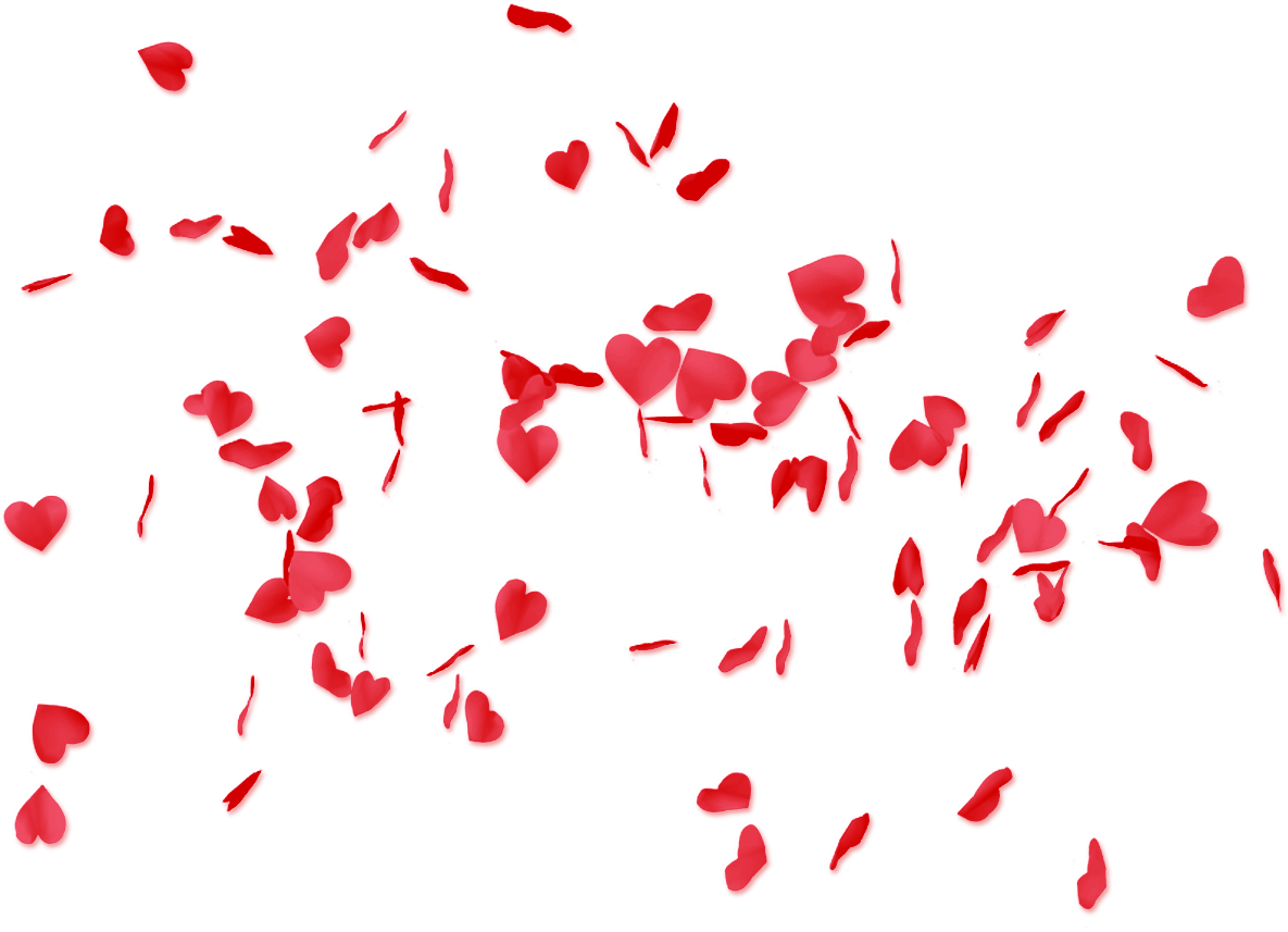 Valentines Day Red Rose Petals Scatter PNG Image