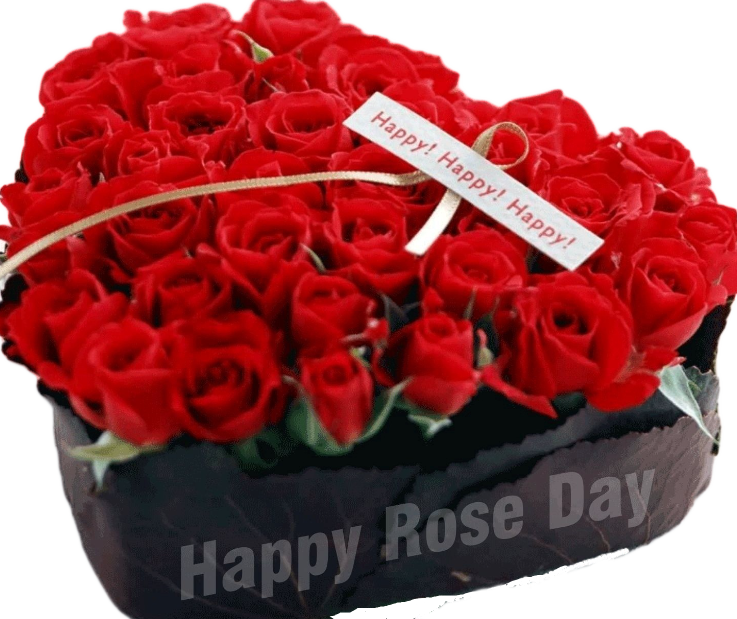 Valentines Day Red Roses Heart Shaped Arrangement PNG Image