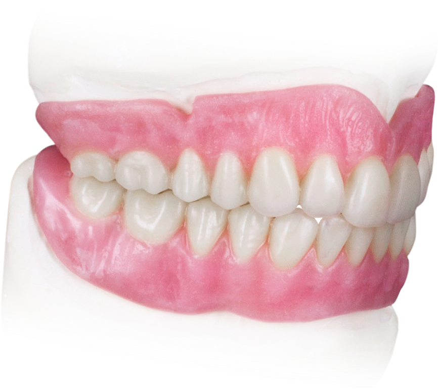 Vampire_ Teeth_ Prop_ Model.png PNG Image