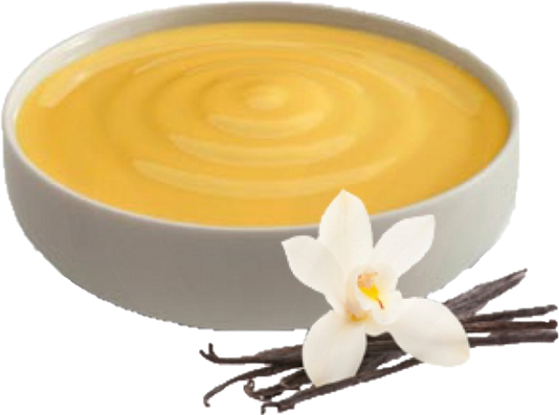 Vanilla Custard Bowl Orchid Accent PNG Image