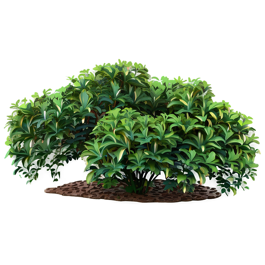 Variegated Shrubs Png Tpc51 PNG Image