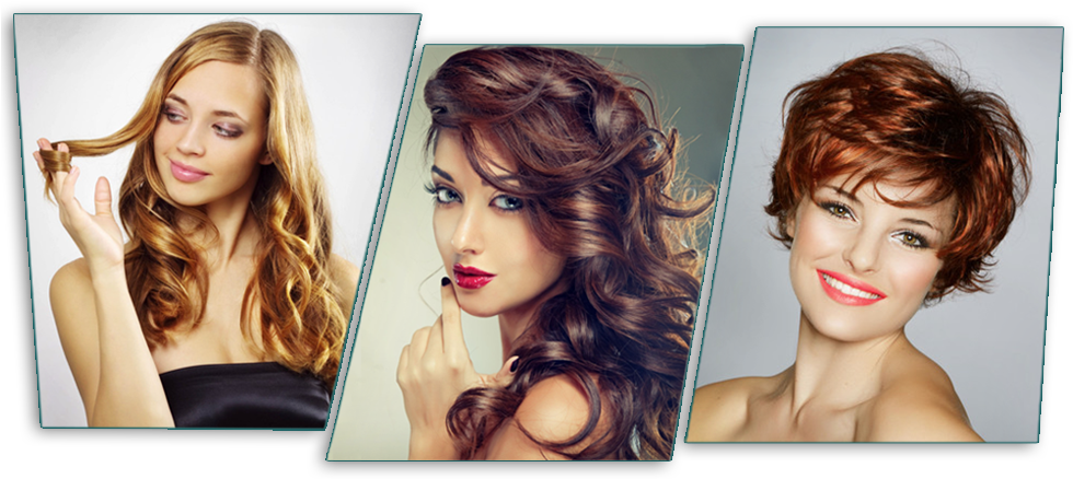 Variety Hairstyles Beauty Parlour PNG Image