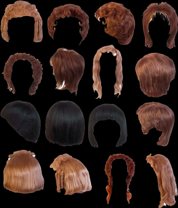 Variety_of_ Hairstyles_ Collection PNG Image