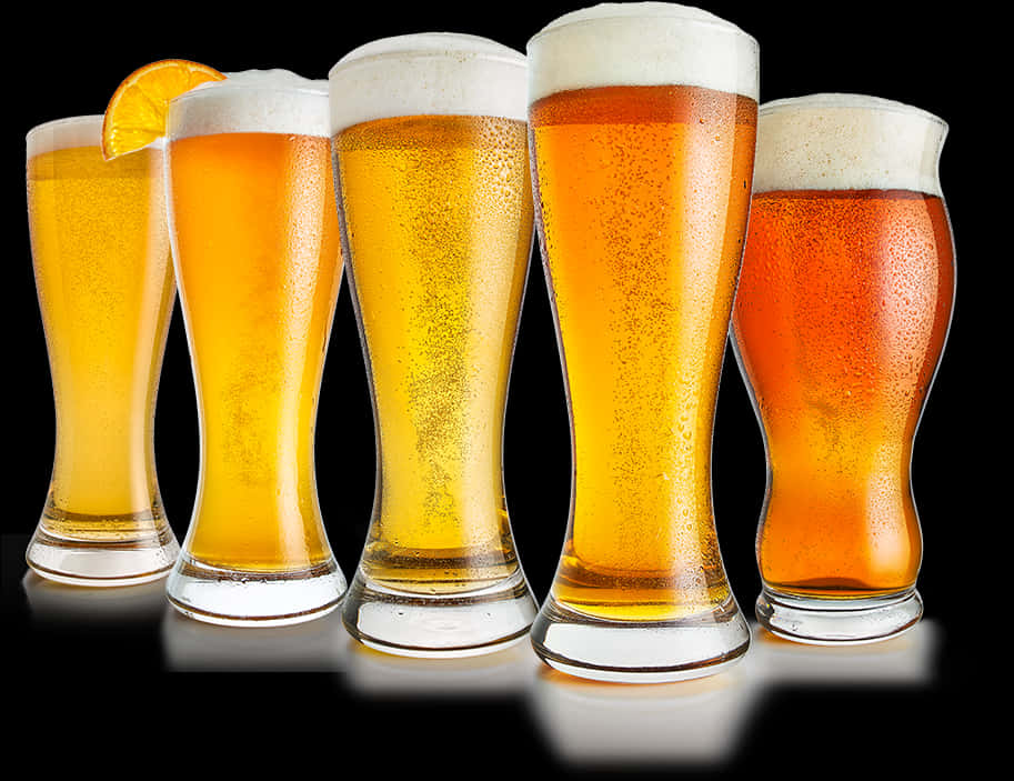 Varietyof Beersin Glasses PNG Image