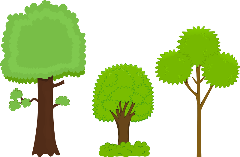 Varietyof Cartoon Trees PNG Image