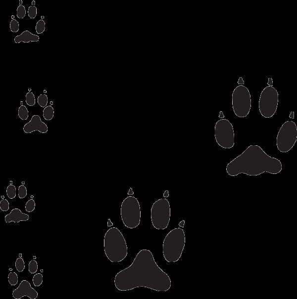 Varietyof Dog Paw Prints PNG Image