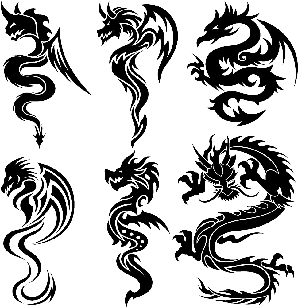 Varietyof Dragon Tattoo Designs PNG Image