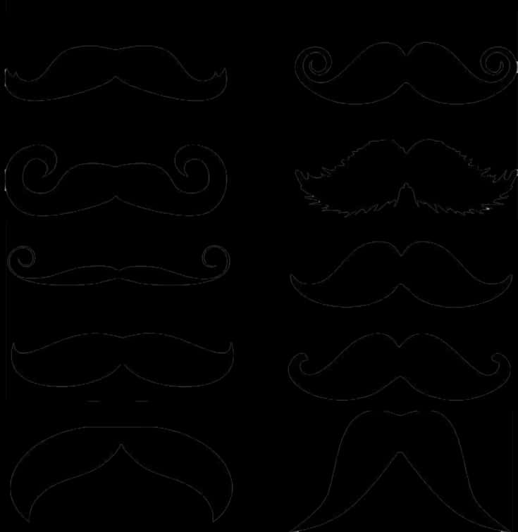 Varietyof Mustache Styles Illustration PNG Image