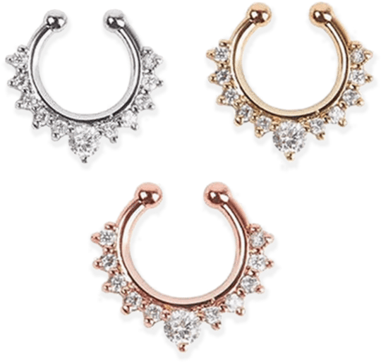 Varietyof Nose Rings Designs PNG Image