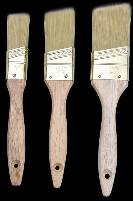 Varietyof Paint Brushes PNG Image