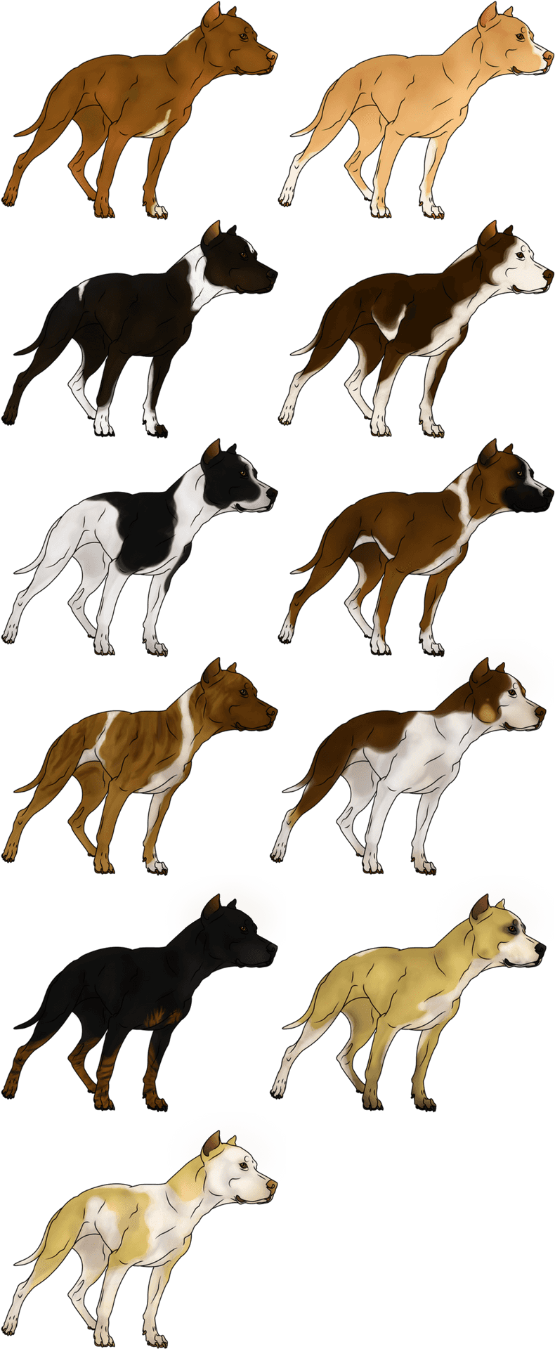 Varietyof Pitbull Breeds Illustration PNG Image