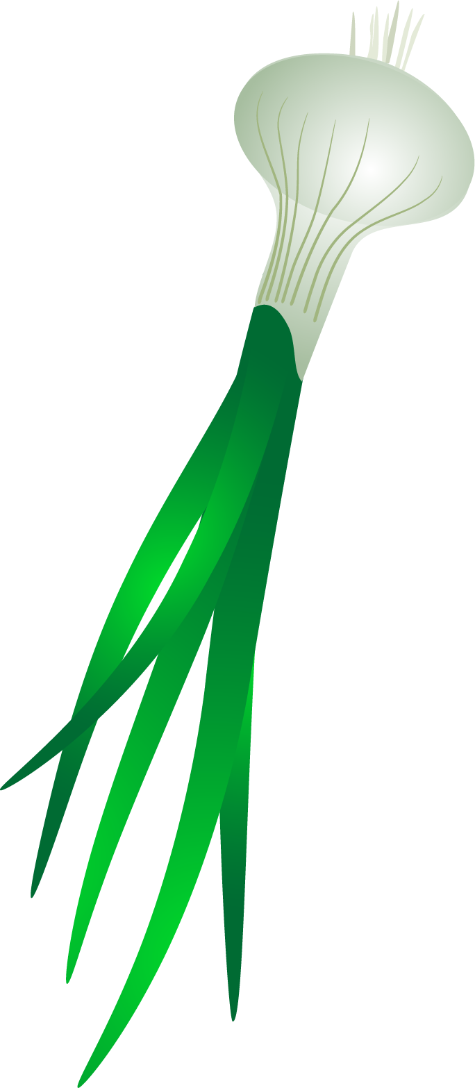 Vector Illustrationof Leek PNG Image