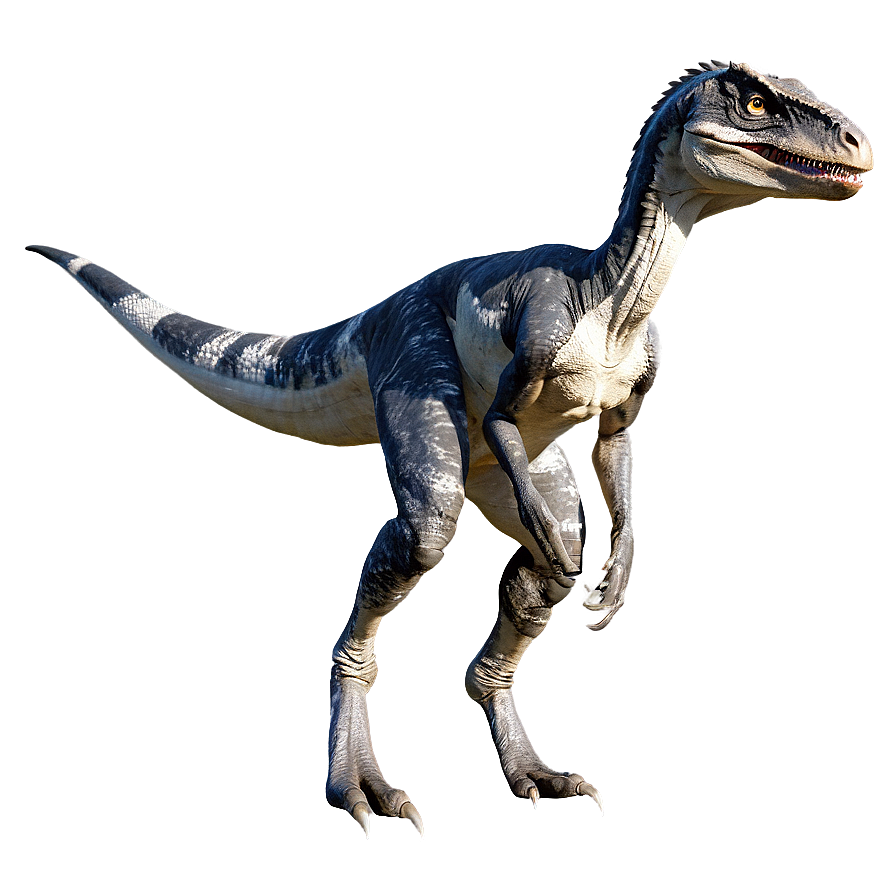 Velociraptor Environmental Adaptation Png Vud84 PNG Image