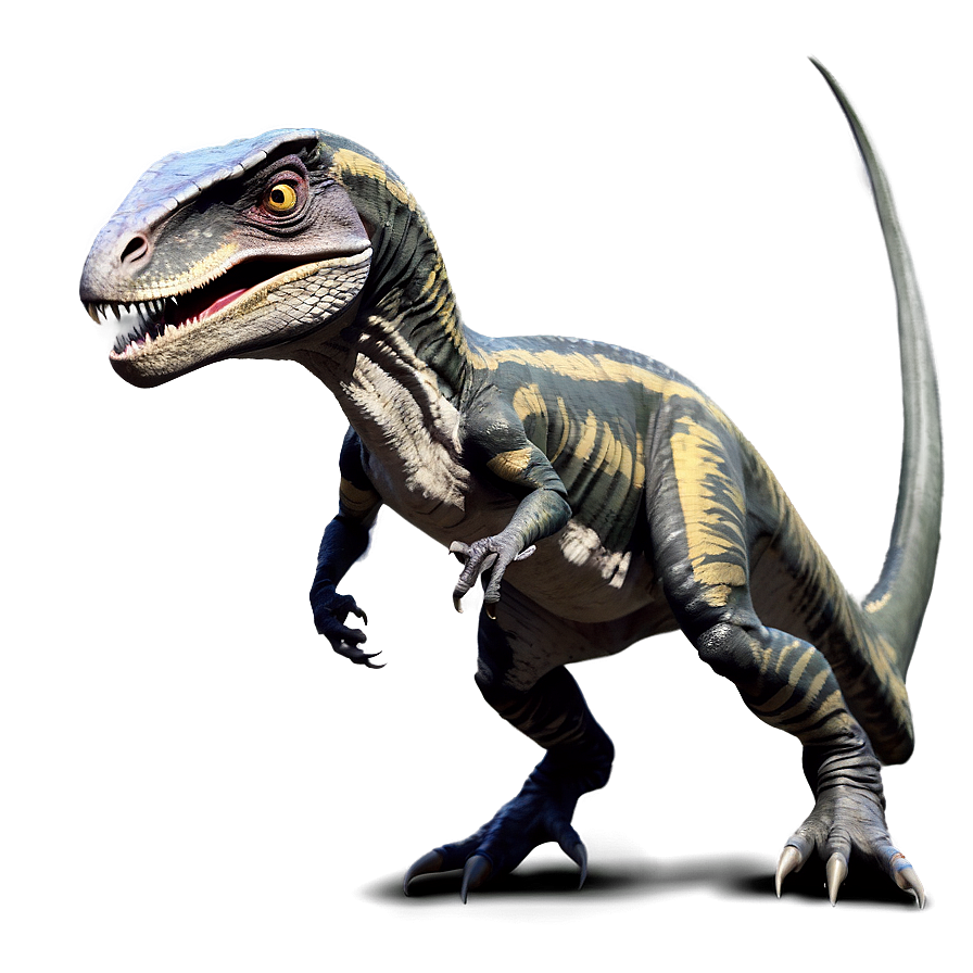 Velociraptor Evolution Theory Png Qxm47 PNG Image