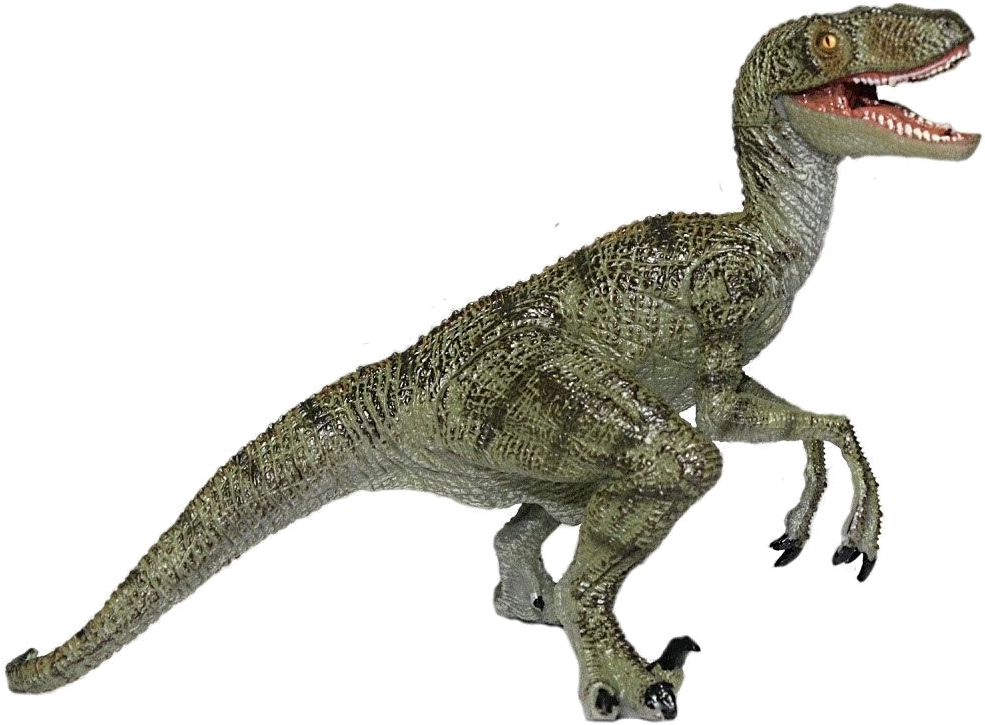 Velociraptor Illustration Jurassic Park PNG Image