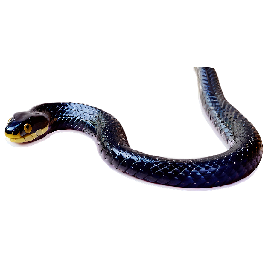 Venomous Black Snake Graphic Png Wth65 PNG Image