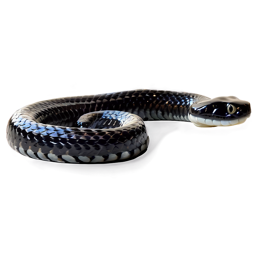 Venomous Black Snake Graphic Png Xcm10 PNG Image