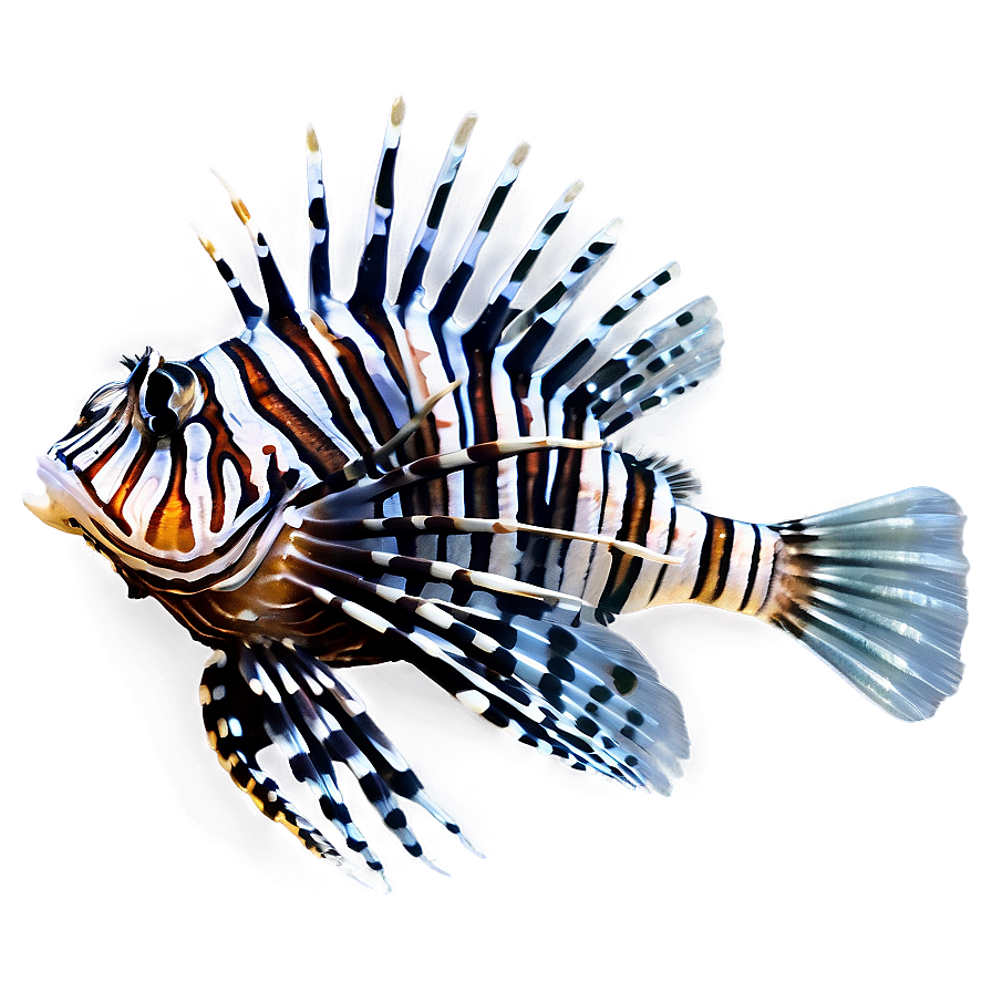 Venomous Lionfish Png Whs39 PNG Image