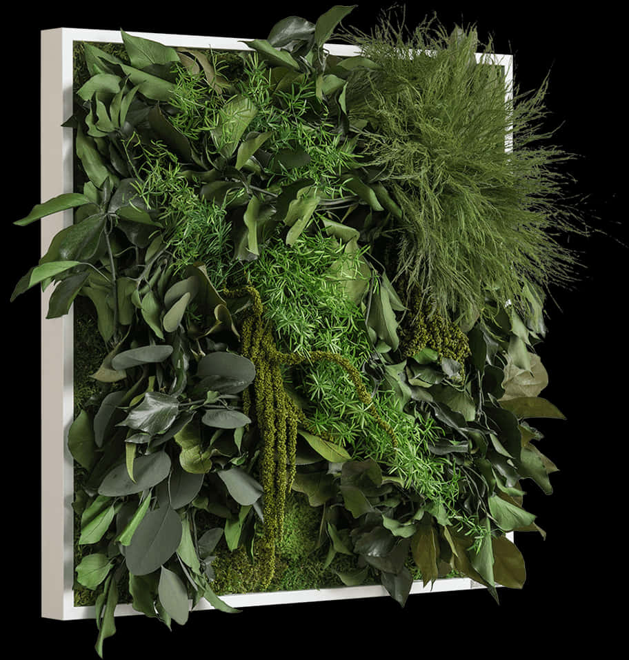 Vertical Garden Display.jpg PNG Image