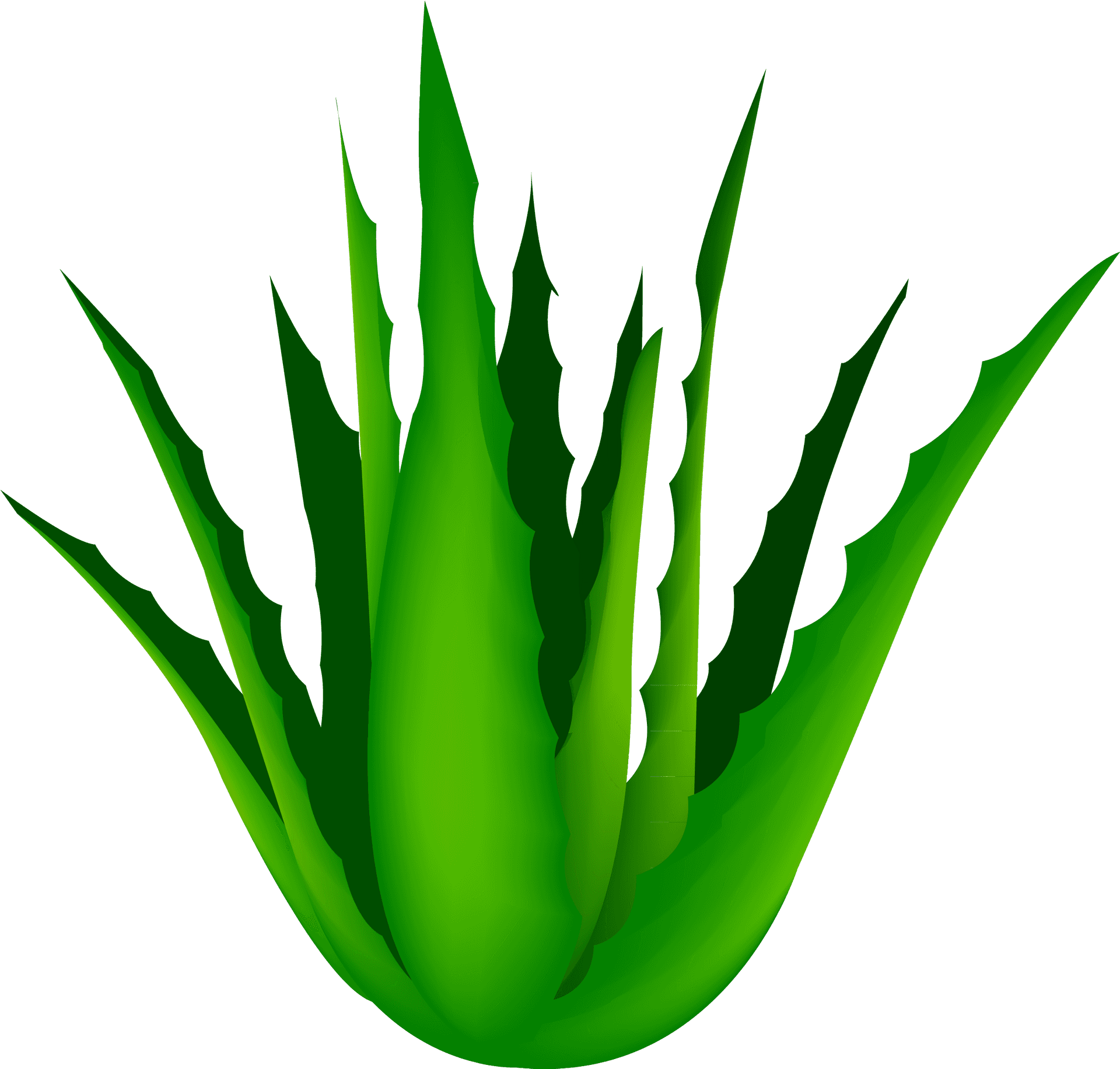 Vibrant Aloe Vera Plant Illustration PNG Image