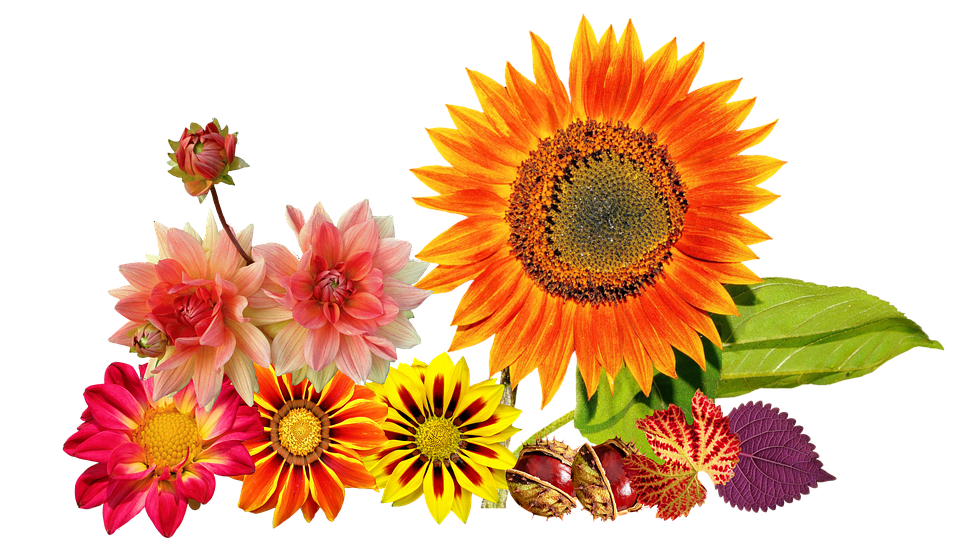 Vibrant Autumn Floral Arrangement PNG Image