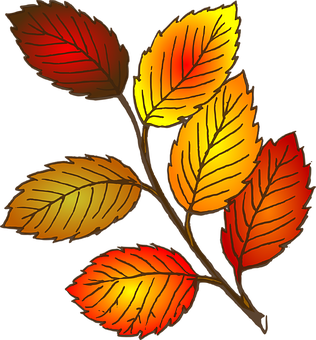 Vibrant Autumn Leaves Illustration PNG Image