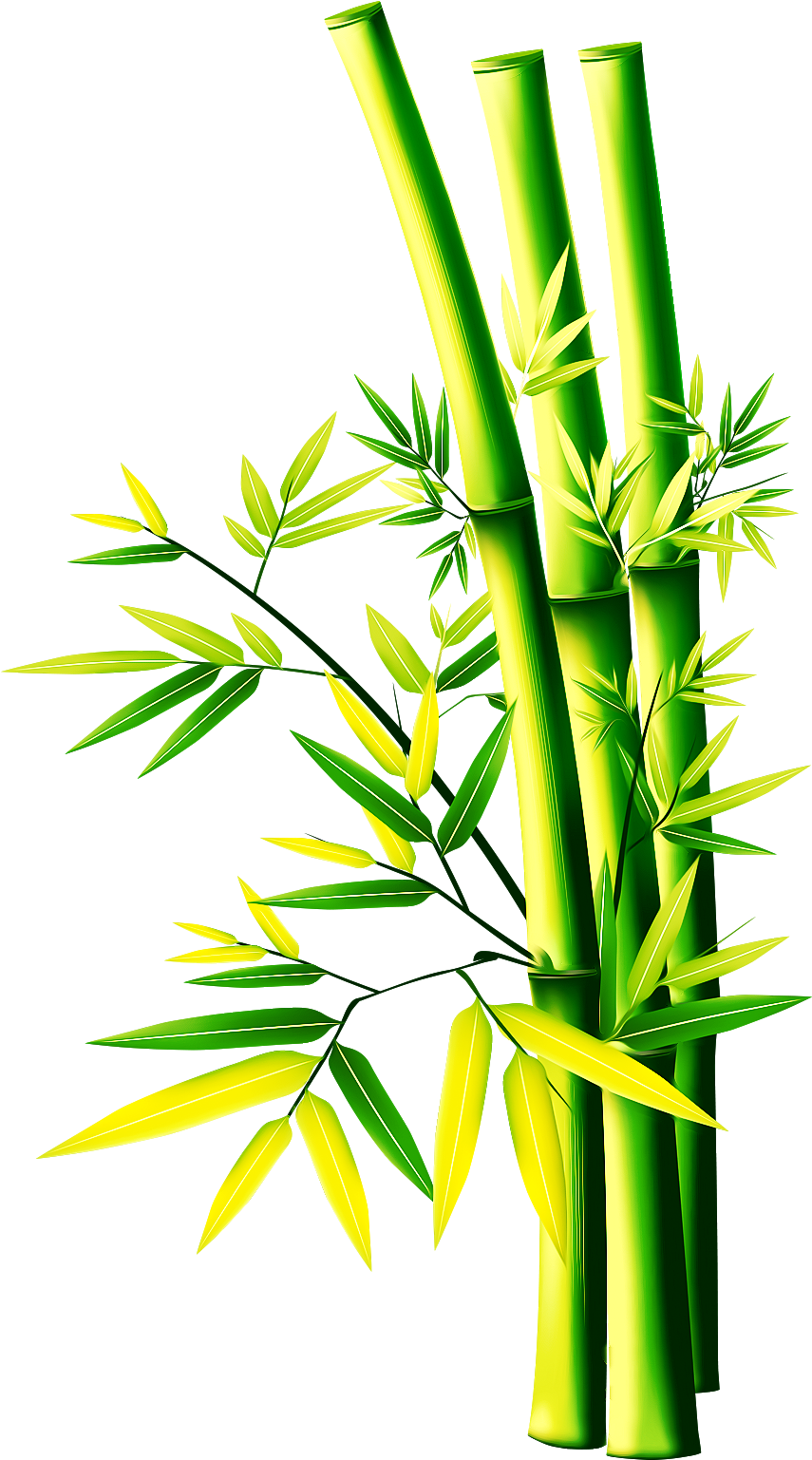 Vibrant Bamboo Stalks PNG Image