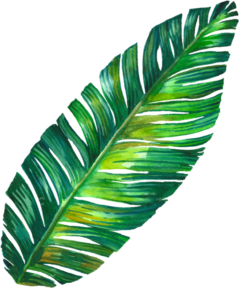 Vibrant Banana Leaf Artwork PNG Image