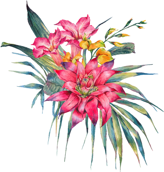 Vibrant Birthday Flower Bouquet PNG Image