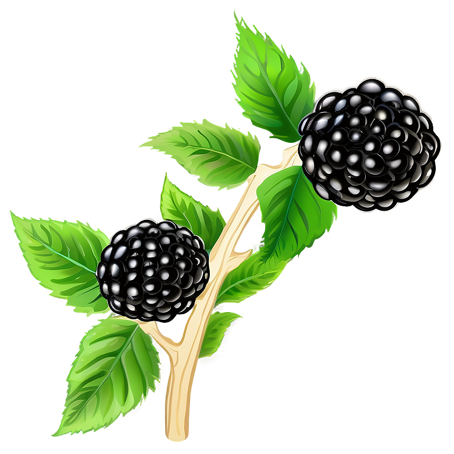 Vibrant Blackberry Png Gtr PNG Image