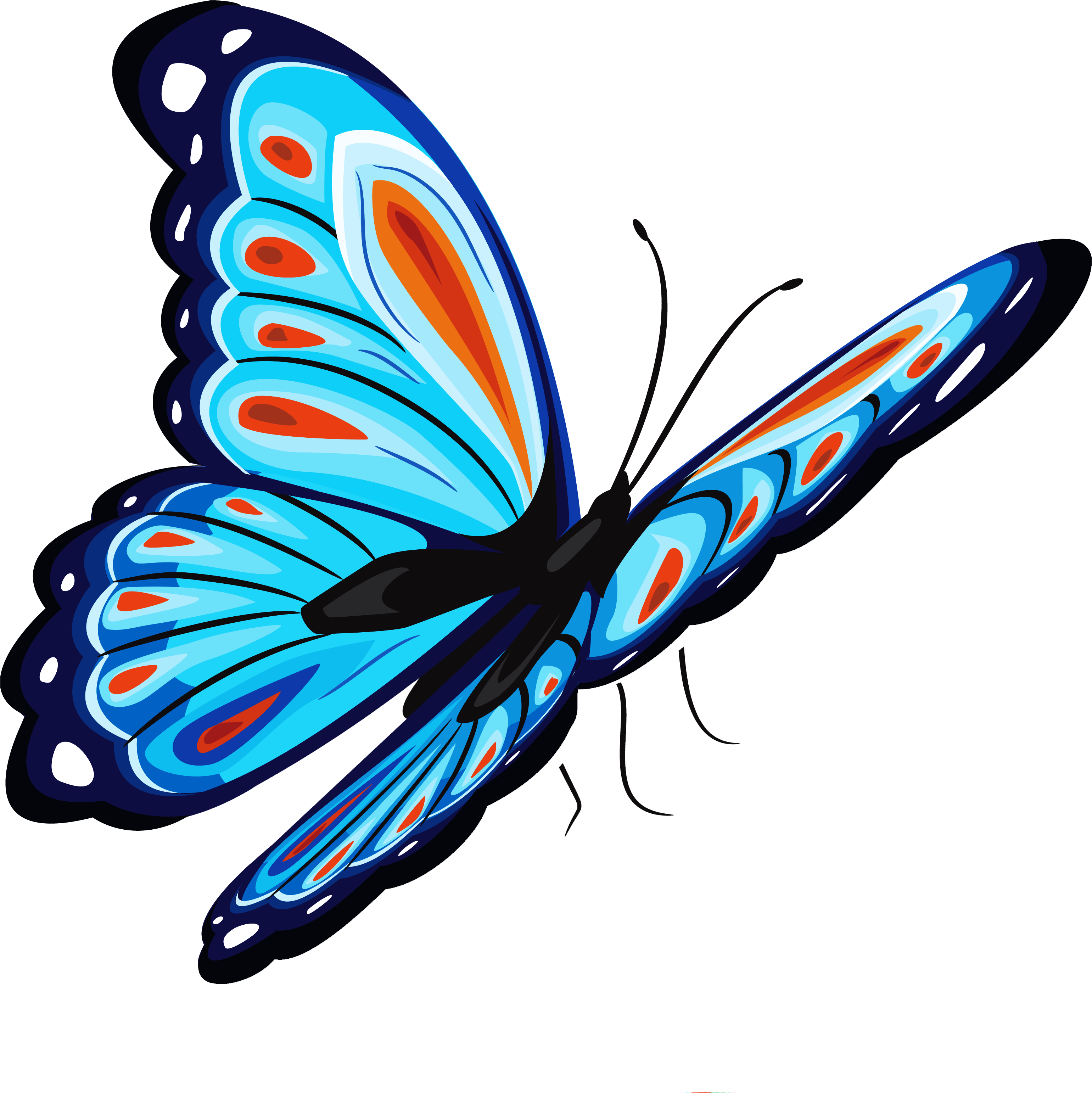 Vibrant Blue Butterfly Illustration PNG Image